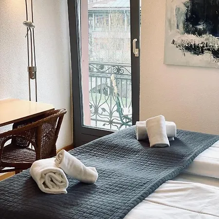 Hotel&restaurant Grüner Baum 2* Merzhausen