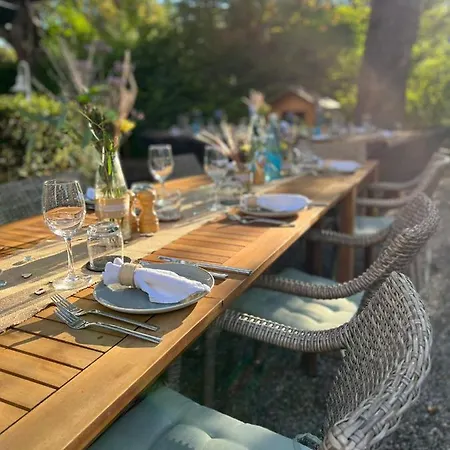 מלון & Restaurant Gruener Baum 2*