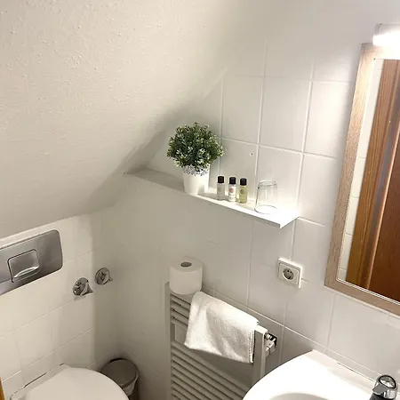 Hotel Hotel&restaurant Grüner Baum 2*