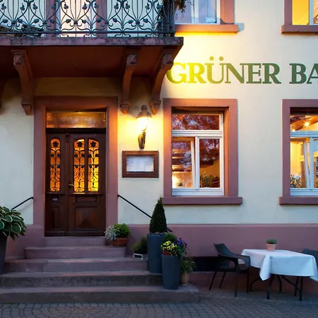 מלון & Restaurant Gruener Baum מרזהאוזן