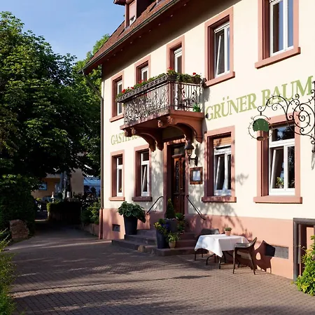 & Restaurant Gruener Baum מרזהאוזן