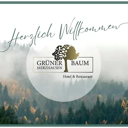 Hotel & Restaurant Gruener Baum 2*