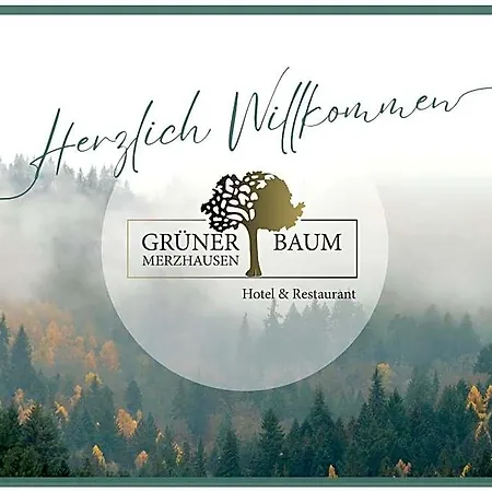 & Restaurant Gruener Baum ميرتْسهاوزن
