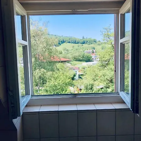 & Restaurant Gruener Baum 美泽森