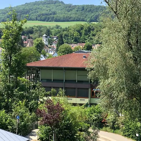 & Restaurant Gruener Baum 美泽森