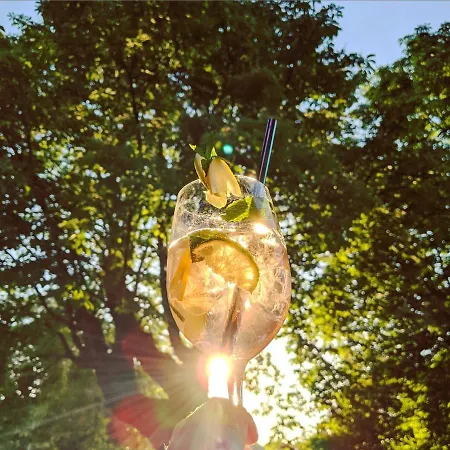 & Restaurant Gruener Baum 2* 美泽森