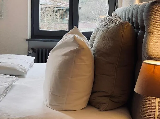 & Restaurant Gruener Baum מלון 2*