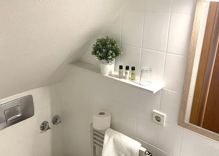 מלון & Restaurant Gruener Baum 2*