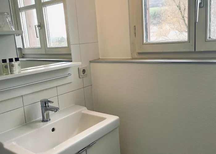 & Restaurant Gruener Baum מרזהאוזן