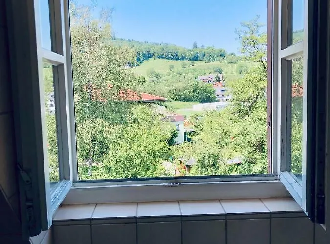 & Restaurant Gruener Baum מרזהאוזן