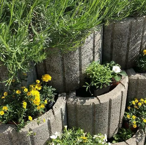 & Restaurant Gruener Baum 2* מרזהאוזן