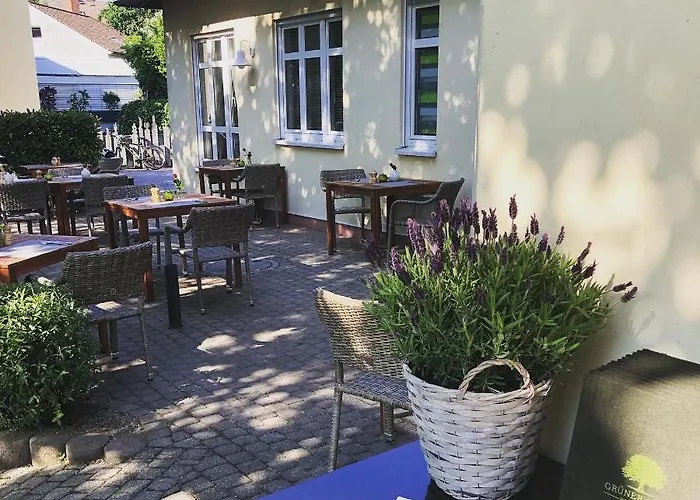 & Restaurant Gruener Baum מלון